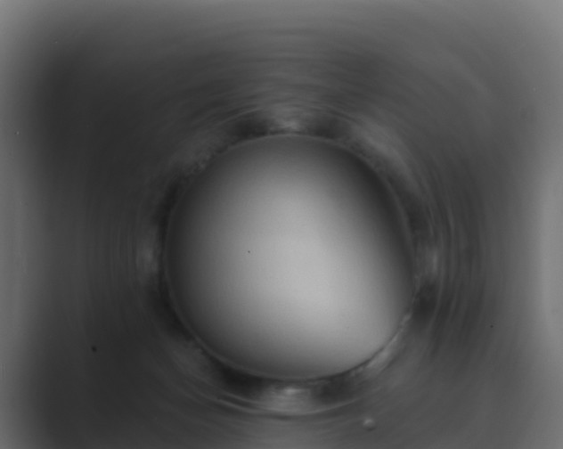 X0000089720174200706281537