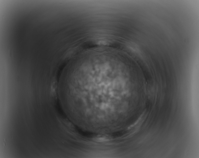 X0000089720175200706281537