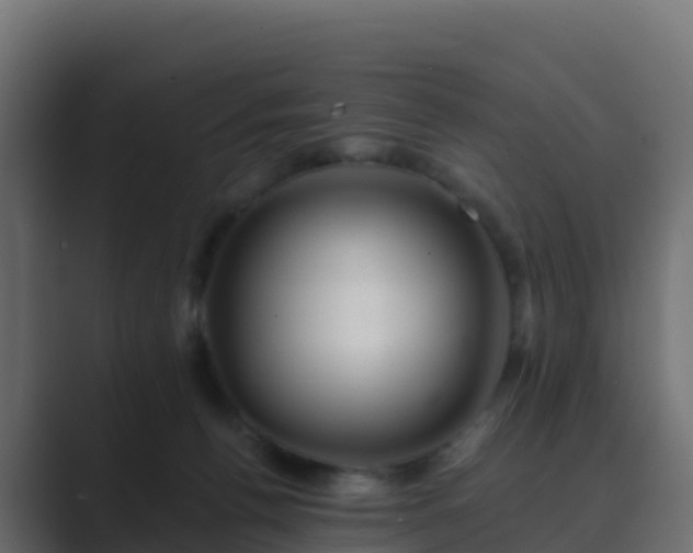 X0000089720176200706281537
