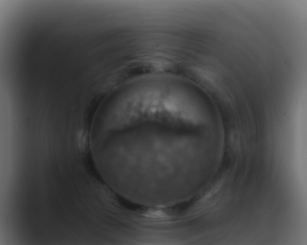 X0000089720177200706281537