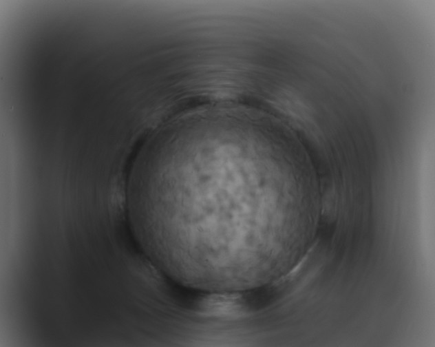 X0000089720179200706281537