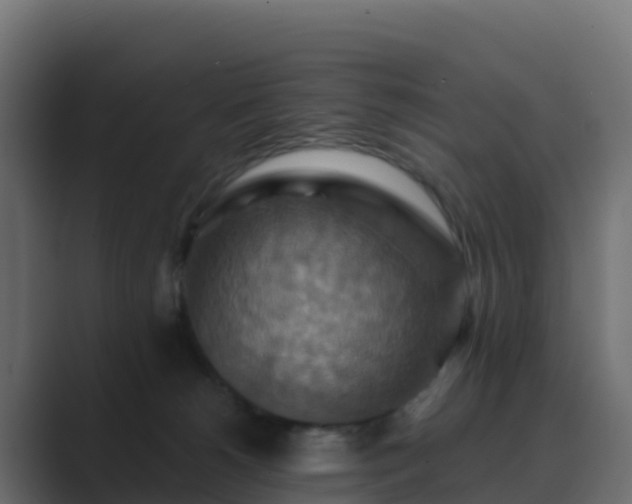 X0000089720180200706281537