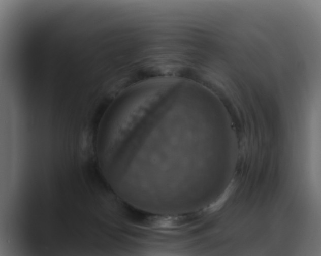 X0000089720182200706281537