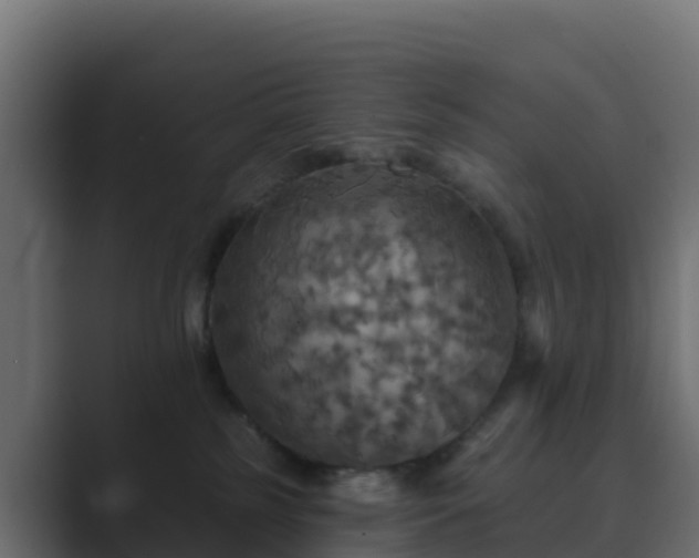 X0000089720185200706281537