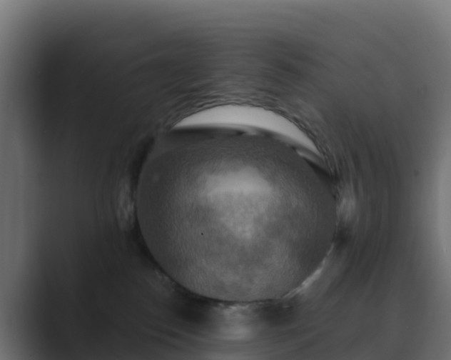 X0000089720186200706281537