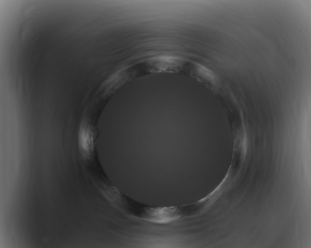 X0000089720191200706281538