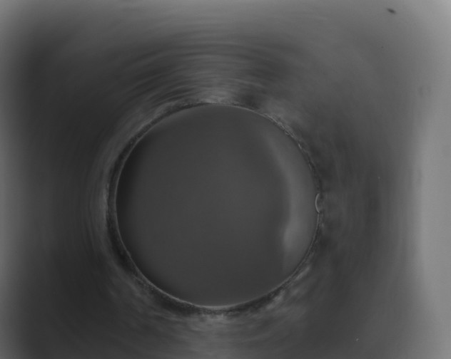 X0000089720194200706281537