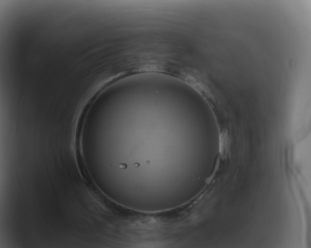 X0000089720195200706281537