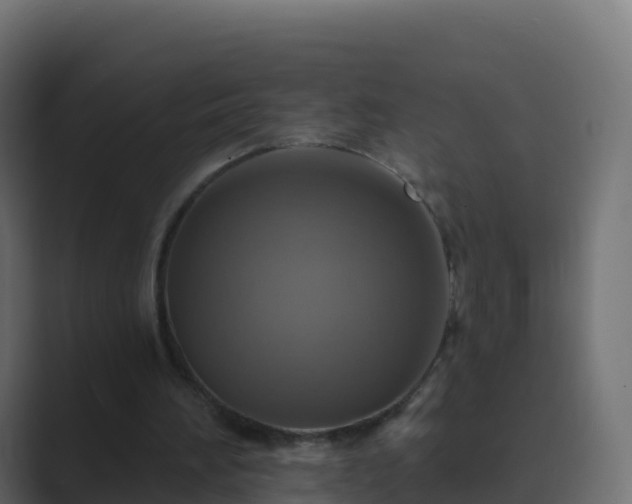 X0000089720196200706281537