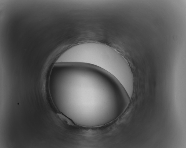 X0000089720197200706281537