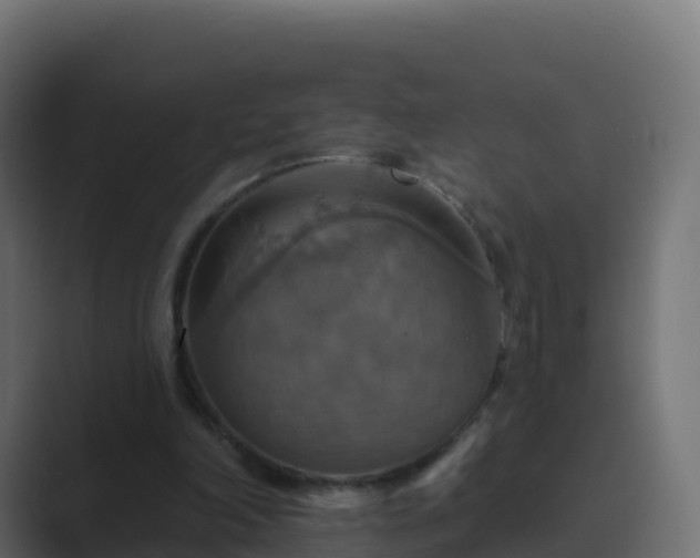 X0000089720198200706281537