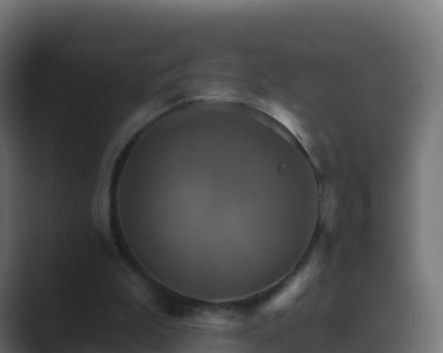 X0000089720199200706281537