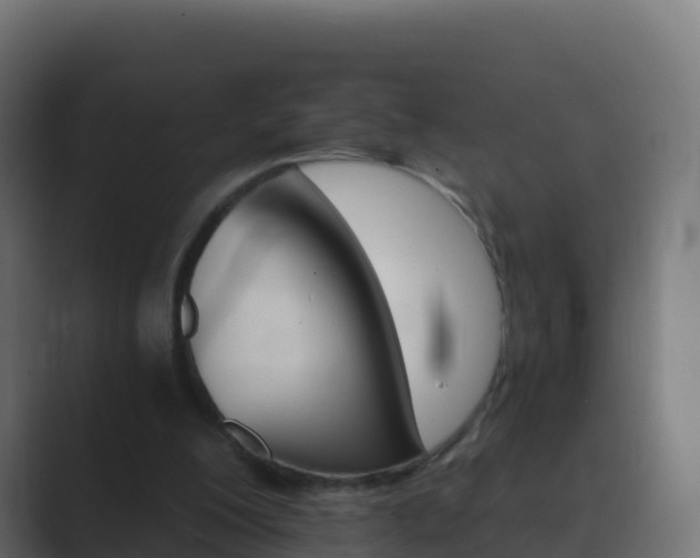 X0000089720200200706281537