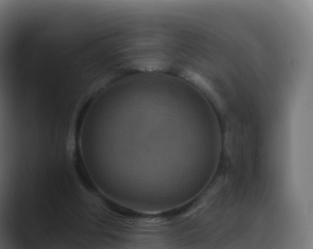 X0000089720202200706281537