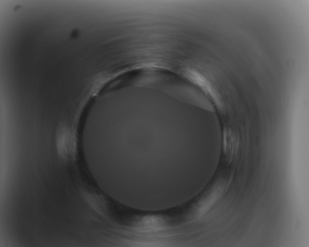 X0000089720204200706281537