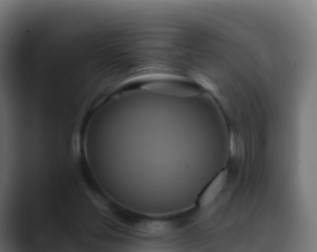 X0000089720205200706281537