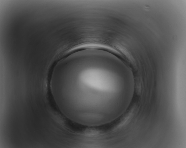 X0000089720207200706281537
