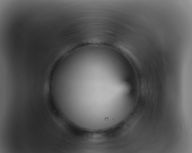 X0000089720208200706281537