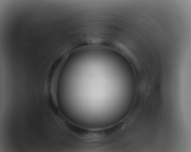X0000089720209200706281537