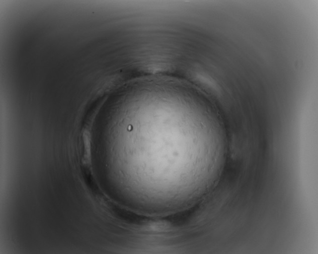 X0000089720210200706281537