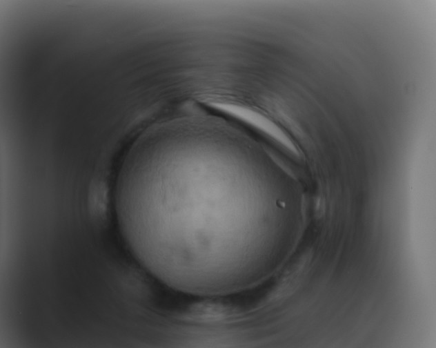 X0000089720211200706281537