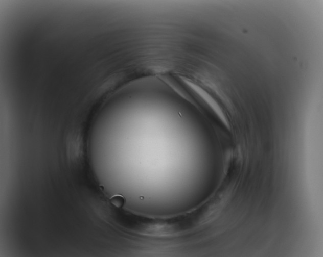 X0000089720212200706281537