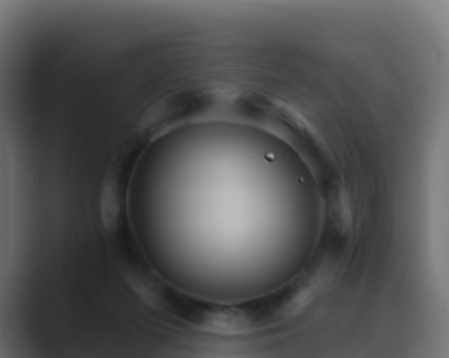 X0000089720215200706281537