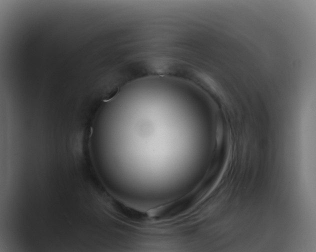 X0000089720217200706281537