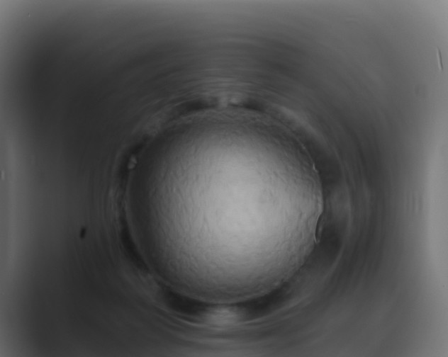 X0000089720218200706281537