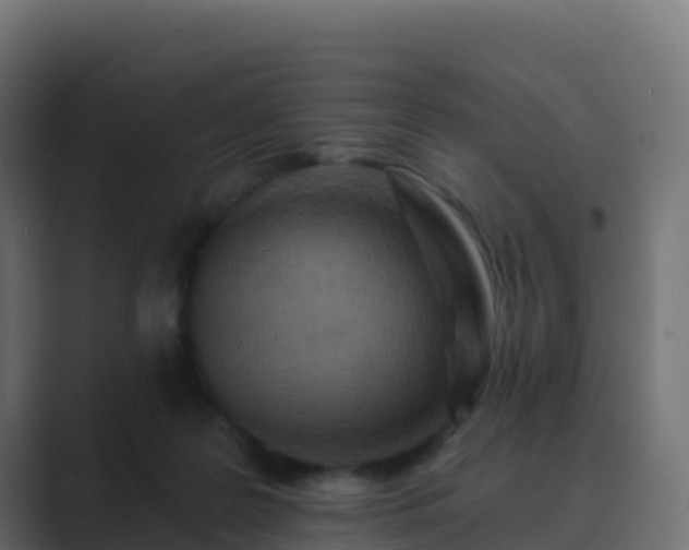 X0000089720219200706281537