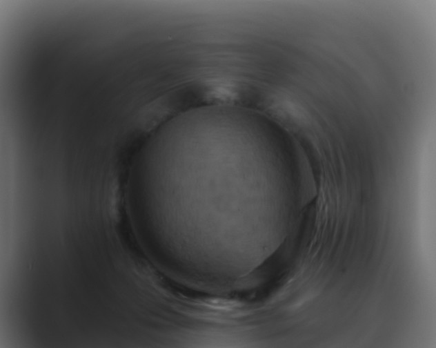 X0000089720223200706281537