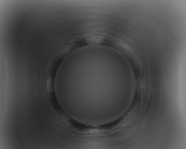 X0000089720224200706281537