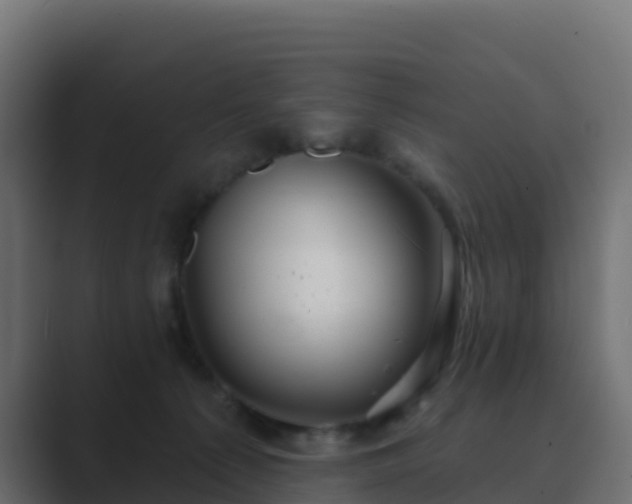 X0000089720225200706281537