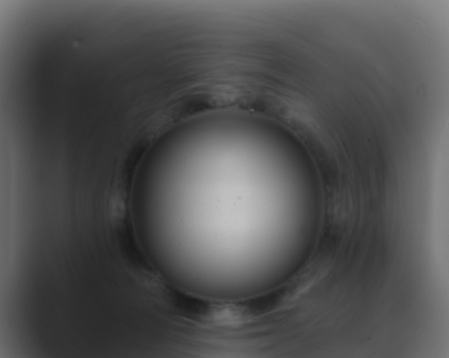 X0000089720226200706281537