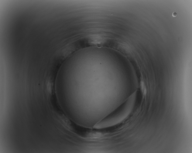 X0000089720227200706281537