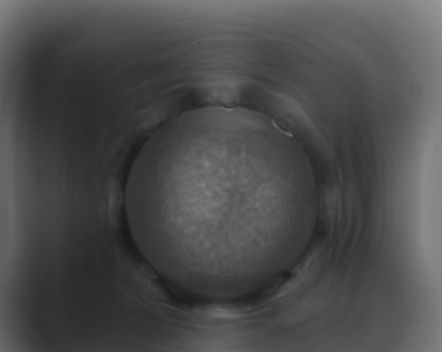 X0000089720228200706281537
