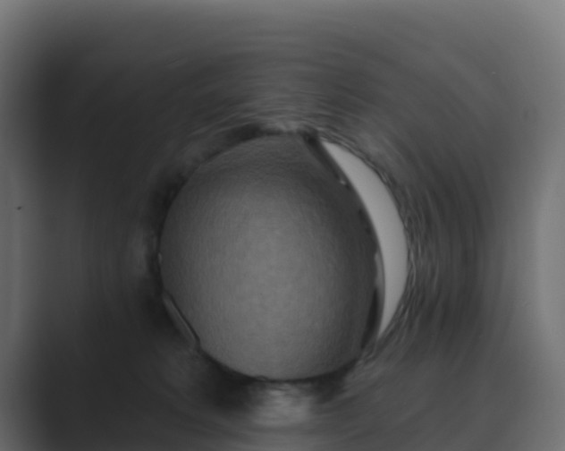 X0000089720229200706281537