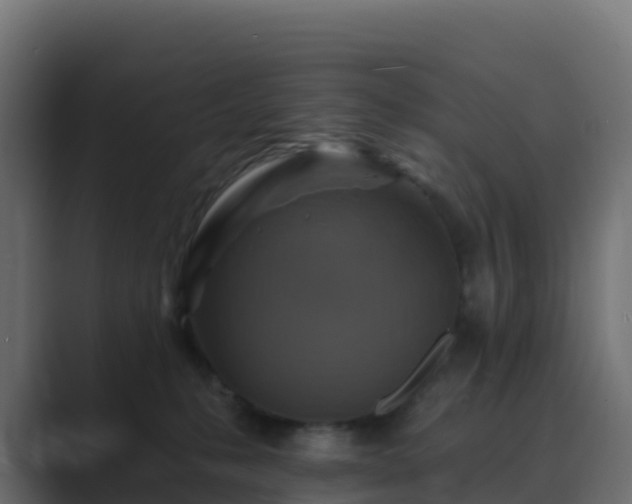 X0000089720231200706281537