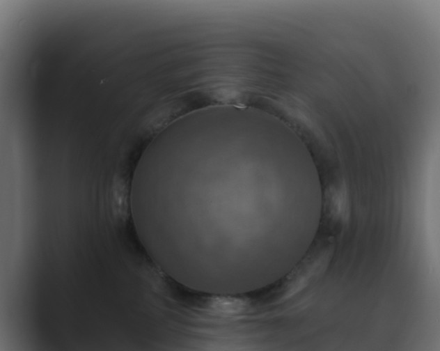 X0000089720234200706281537