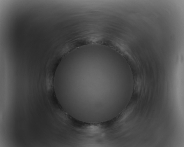 X0000089720236200706281536