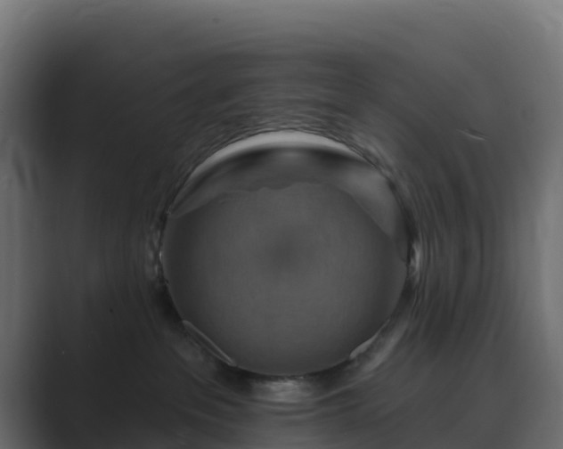 X0000089720237200706281536
