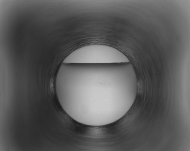 X0000089720238200706281536