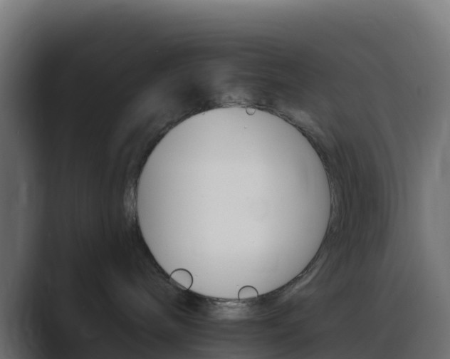 X0000089720240200706281536