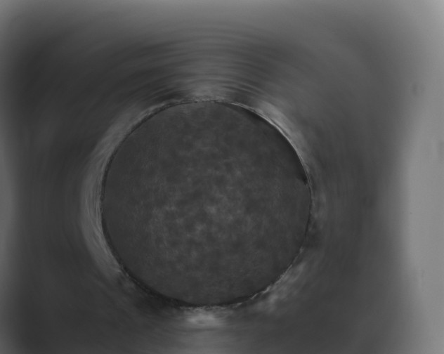 X0000089720241200706281536