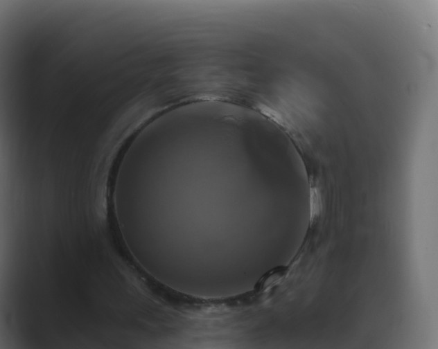 X0000089720243200706281536