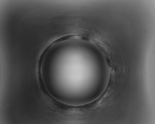 X0000089720244200706281536