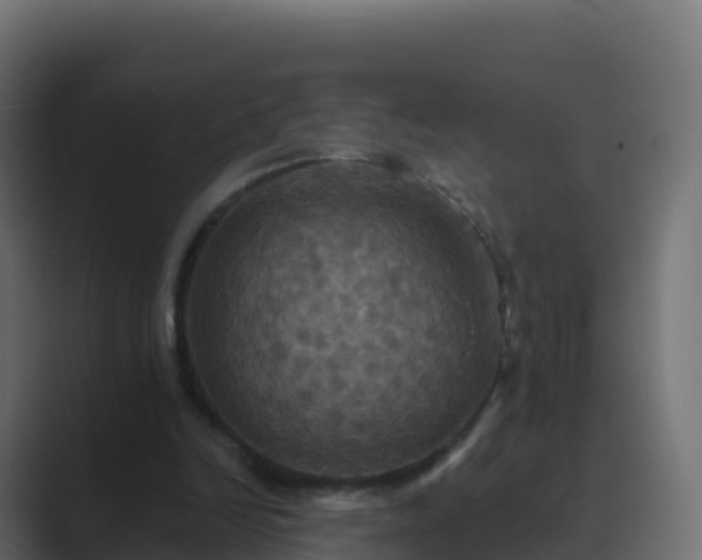 X0000089720246200706281536