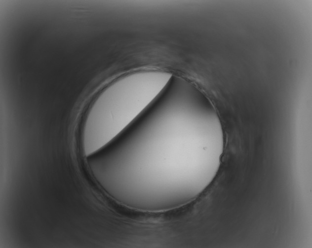 X0000089720247200706281536