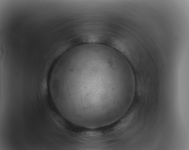 X0000089720251200706281536