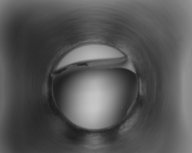 X0000089720252200706281536